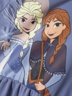 NAME IT FROZEN suknelė ilgomis rankovėmis, 13247015 128