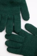 COCCODRILLO pirštuotos pirštinės ACCESSORIES WINTER BOY, žalios, ZC4360306AWB-011-XL, XL cm