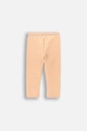 COCCODRILLO sportinės kelnės SMILE BOY NEWBORN, smėlio spalvos, ZC4121101SBN-002-062, 62 cm