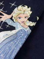 NAME IT FROZEN tamprės, 13249750-282D3C 110 cm
