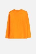 COCCODRILLO t-shirt EVERYDAY BOY A, oranžiniai, cm