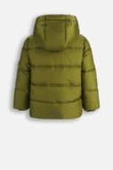 COCCODRILLO striukė OUTERWEAR BOY KIDS, žalia, cm