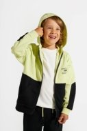 COCCODRILLO džemperis WORLD OF PIXEL BOY KIDS, multicoloured, ZC4132402WBK-022-122, 122 cm