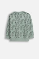 COCCODRILLO džemperis, žalias, WC6132102NBK-011-116, 116 cm