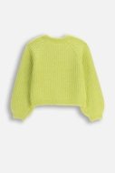 COCCODRILLO megztinis CRAFT PUNK GIRL JUNIOR, žalias, ZC5172101CGJ-030-134, 134 cm