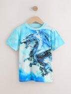 NEXT marškinėliai trumpomis rankovėmis, H49354, 98 cm