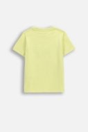 COCCODRILLO marškinėliai trumpomis rankovėmis, geltoni, cm