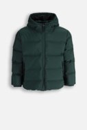 COCCODRILLO striukė OUTERWEAR BOY JUNIOR, žalia, cm