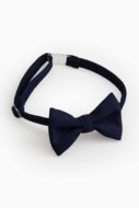 COCCODRILLO kaklaraištis, mėlynas, XCX371201ACC-015-L, 
