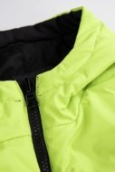 COCCODRILLO liemenė OUTERWEAR BOY JUNIOR, spalvota, cm