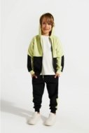 COCCODRILLO džemperis WORLD OF PIXEL BOY KIDS, multicoloured, ZC4132402WBK-022-122, 122 cm