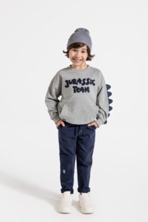 COCCODRILLO džemperis DIGITAL BOY KIDS, pilkas, ZC4132101DBK-019-122, 122 cm 