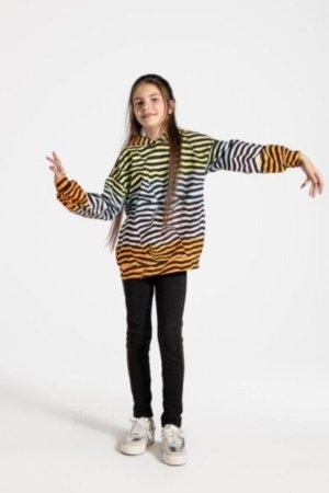 COCCODRILLO džemperis CARTOONS GIRL JUNIOR, multicoloured, ZC4132301CGJ-022-152, 152 cm 