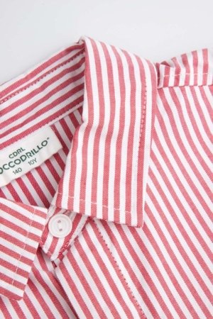 COCCODRILLO marškiniai, spalvoti, cm 