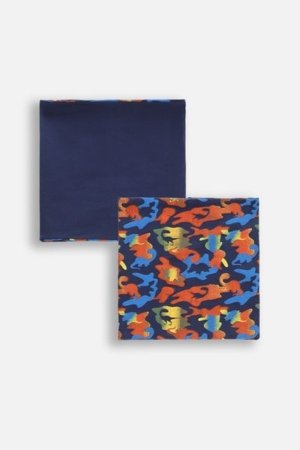COCCODRILLO mova ACCESSORIES SPRING BOY, spalvota, WC5369211ASB-022-S, S cm 