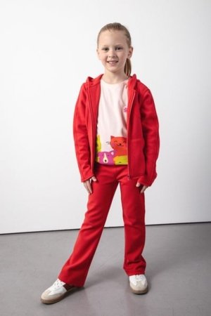 COCCODRILLO džemperis ACADEMY GIRL KIDS, raudonas, ZC5132601AGK-009-116, 116 cm 