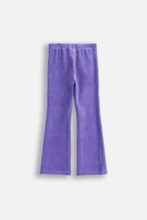COCCODRILLO tamprės RAVE GIRL KIDS, violetinės, ZC5122104RGK-016-116, 116 cm 