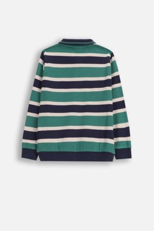 COCCODRILLO marškinėliai, spalvoti, cm 