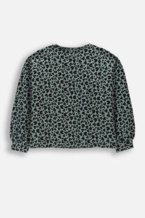 COCCODRILLO džemperis, žalias, cm 