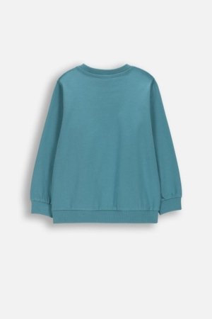 COCCODRILLO marškinėliai ilgomis rankovėmis, žali, 