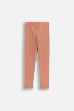 COCCODRILLO tamprės, kreminės, cm 