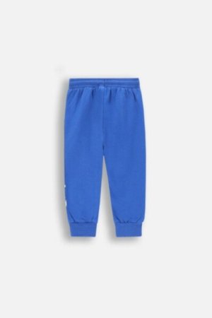 COCCODRILLO sportinės kelnės BETWEEN FRIENDS BOY NEWBORN, cobalt, ZC4120102BBN-032-086, 86 cm 