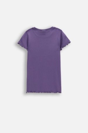 COCCODRILLO marškinėliai trumpomis rankovėmis, violetiniai, cm 