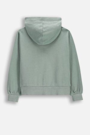 COCCODRILLO susegamas džemperis su gobtuvu, žalias, cm 