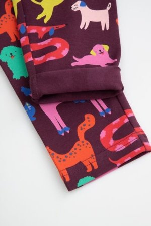 COCCODRILLO tamprės ACADEMY GIRL KIDS, spalvotos, cm 