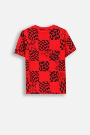 COCCODRILLO marškinėliai trumpomis rankovėmis ACADEMY BOY KIDS, raudoni, ZC4143201ABK-009-092, 92 cm 