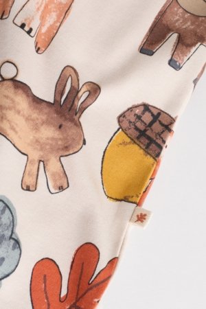 NEXT šliaužtinukas, 3 vnt., AW3053, cm