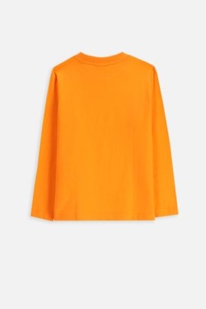COCCODRILLO t-shirt EVERYDAY BOY A, oranžiniai, cm