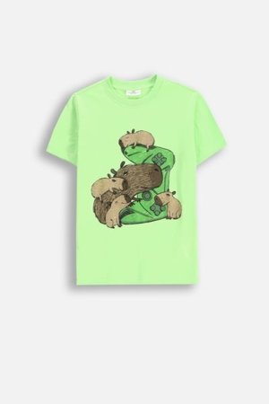 COCCODRILLO marškinėliai trumpomis rankovėmis EVERYDAY BOY A, žali, WC5143222VBA-011-146, 146 cm 