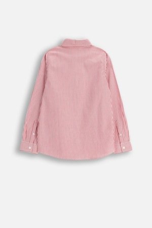 COCCODRILLO marškiniai, spalvoti, cm 