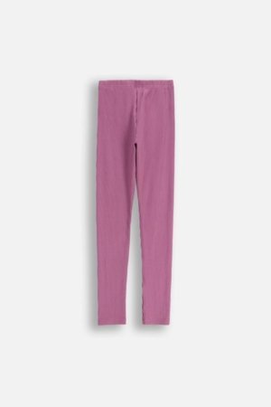 COCCODRILLO tamprės, violetinės, ZC5122101WGJ-016-146, 146 cm 