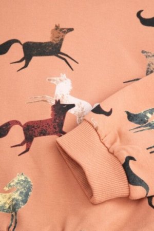 COCCODRILLO džemperis RODEO GIRL KIDS, powder pink, ZC4132101RGK-033-122, 122 cm 