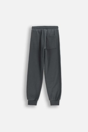 COCCODRILLO sportinės kelnės, pilkos, cm 