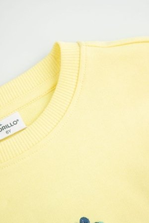COCCODRILLO džemperis, geltonas, 