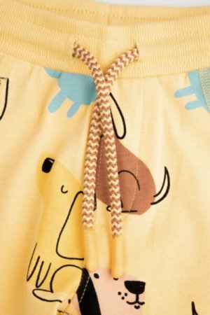 COCCODRILLO sportinės kelnės HAPPY RETRO BOY NEWBORN, geltonos, WC4122101HBN-004-0 