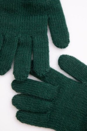 COCCODRILLO pirštuotos pirštinės ACCESSORIES WINTER BOY, žalios, ZC4360306AWB-011-XXL, XXL cm 