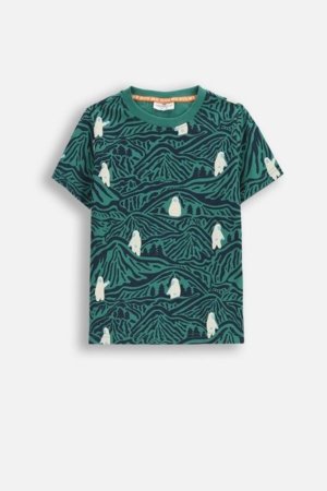 COCCODRILLO marškinėliai, spalvoti, cm 