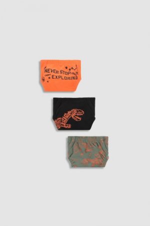 COCCODRILLO kelnaitės PANTIES, multicoloured, 3 vnt., WC3409302PAN-022 WC3409302PAN-022-092