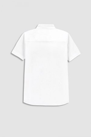 COCCODRILLO marškiniai trumpomis rankovėmis ELEGANT JUNIOR BOY, balti, WC3136202EJB-001 WC3136202EJB-001-158
