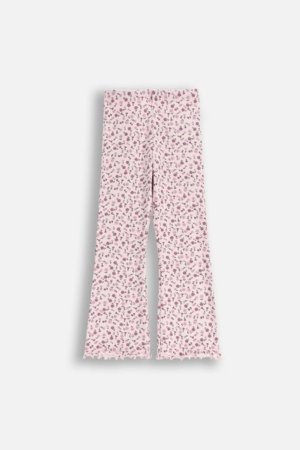 COCCODRILLO tamprės, spalvotos, ZC5122102WGK-022-104, 104 cm 