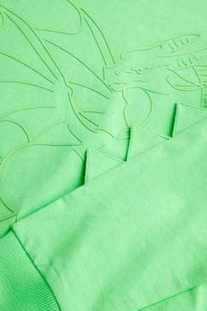 COCCODRILLO marškinėliai ilgomis rankovėmis DRAGONS BOY KIDS, žali, WC5143102DBK-011-122, 122 cm 