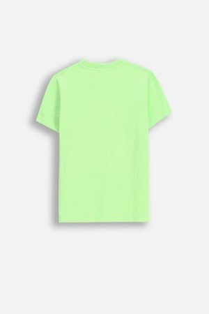 COCCODRILLO marškinėliai trumpomis rankovėmis EVERYDAY BOY A, žali, WC5143222VBA-011-146, 146 cm 