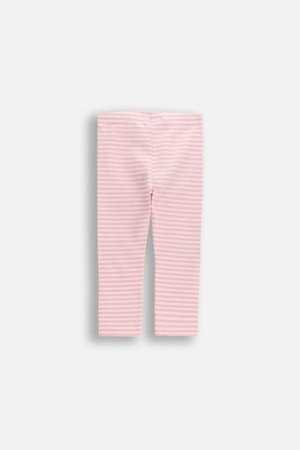 COCCODRILLO tamprės, rožinės, 