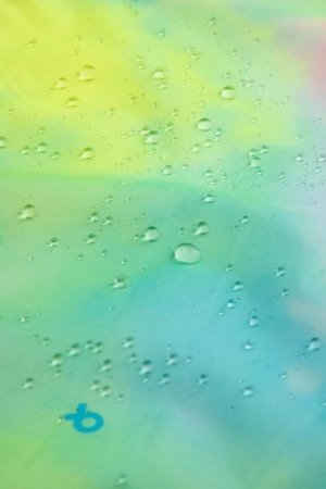 COCCODRILLO striukė, marga, dydis 