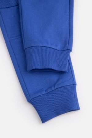 COCCODRILLO sportinės kelnės DIGITAL BOY KIDS, cobalt, ZC4120201DBK-032-122, 122 cm 