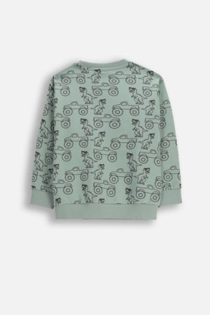 COCCODRILLO džemperis, žalias, WC6132102NBK-011-116, 116 cm 